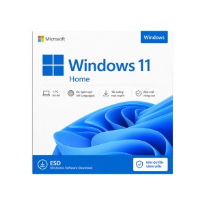 Windows 11 Home (FPP)