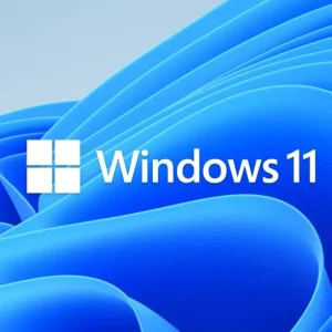 Windows 11 Home ESD - Ảnh 2