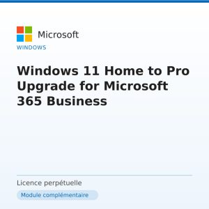 Windows 11 Home to Pro Upgrade for Microsoft 365 Business