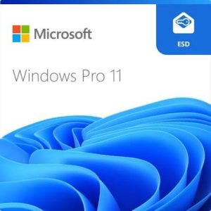 Windows 11 Pro ESD - Ảnh 1