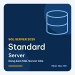 SQL Server 2025 Standard Server