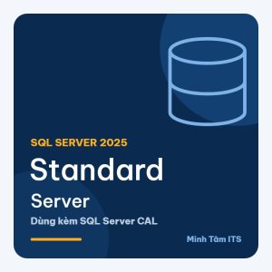 SQL Server 2025 Standard Server