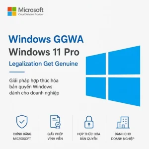 Windows GGWA – Windows 11 Professional N – Legalization GetGenuine